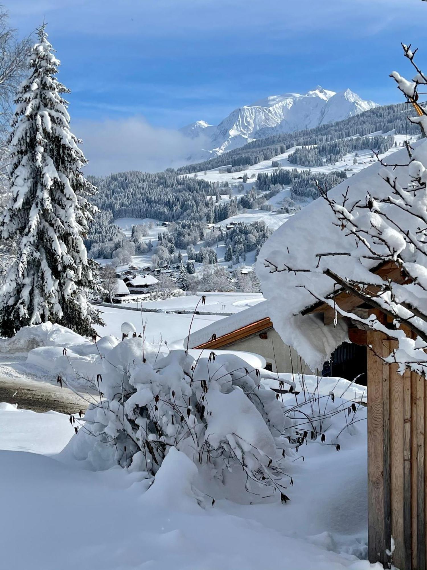 Chalet A Megeve-Vauvray - Grands Appartements , Vue Mont Blanc Demi-Quartier Zewnętrze zdjęcie