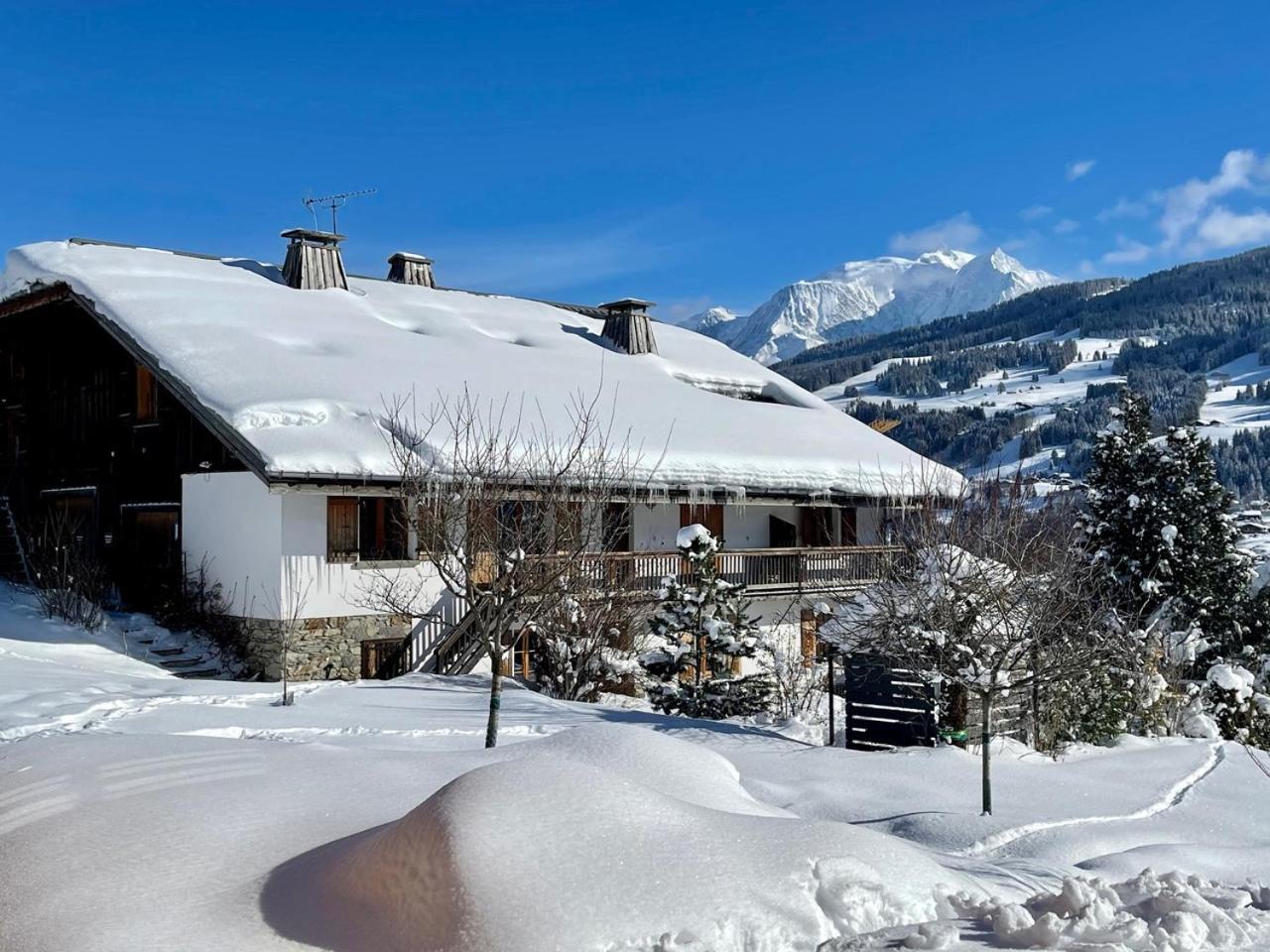 Chalet A Megeve-Vauvray - Grands Appartements , Vue Mont Blanc Demi-Quartier Zewnętrze zdjęcie